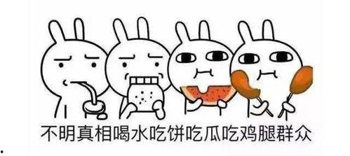 吃瓜群众专用图
